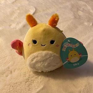 NWT 5” Miry the Moth Squishmallow HTF